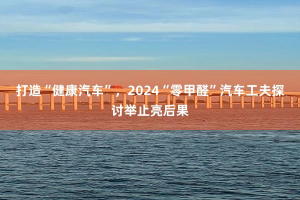 打造“健康汽车”，2024“零甲醛”汽车工夫探讨举止亮后果