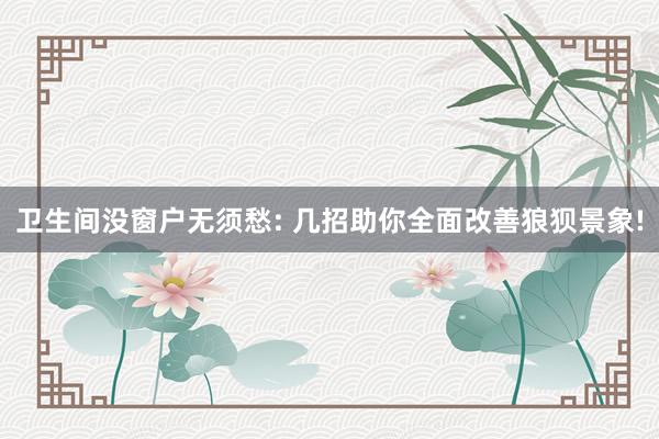卫生间没窗户无须愁: 几招助你全面改善狼狈景象!