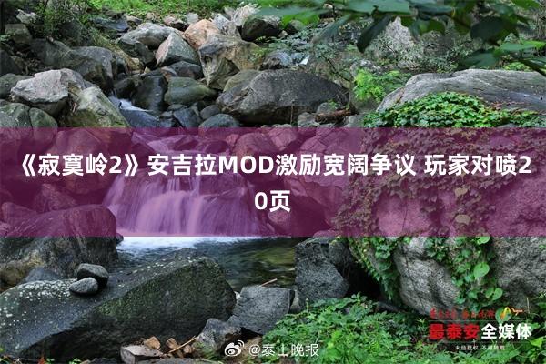 《寂寞岭2》安吉拉MOD激励宽阔争议 玩家对喷20页