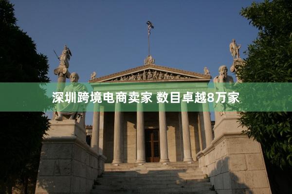 深圳跨境电商卖家 数目卓越8万家