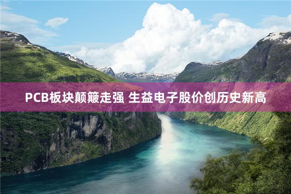 PCB板块颠簸走强 生益电子股价创历史新高