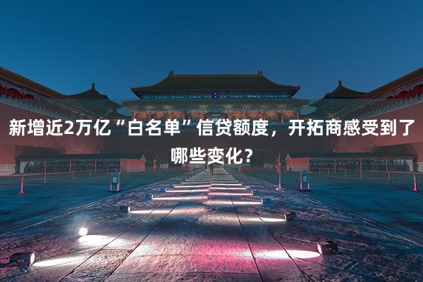 新增近2万亿“白名单”信贷额度，开拓商感受到了哪些变化？