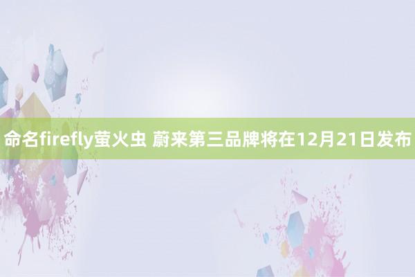 命名firefly萤火虫 蔚来第三品牌将在12月21日发布