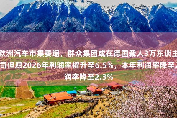 欧洲汽车市集萎缩，群众集团或在德国裁人3万东谈主！公司但愿2026年利润率擢升至6.5%，本年利润率降至2.3%