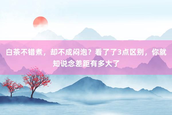 白茶不错煮，却不成闷泡？看了了3点区别，你就知说念差距有多大了