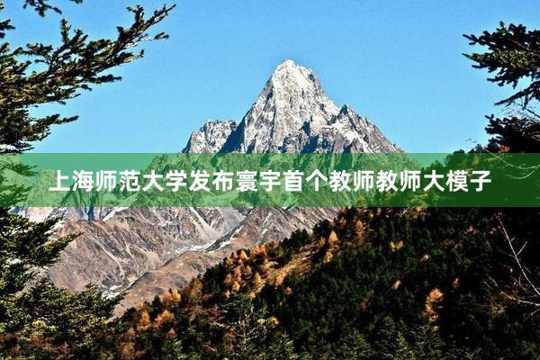 上海师范大学发布寰宇首个教师教师大模子