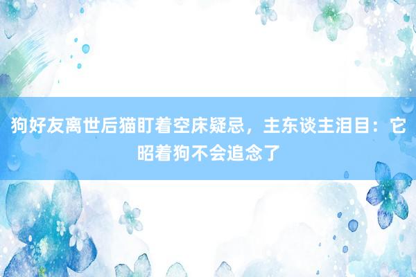 狗好友离世后猫盯着空床疑忌，主东谈主泪目：它昭着狗不会追念了
