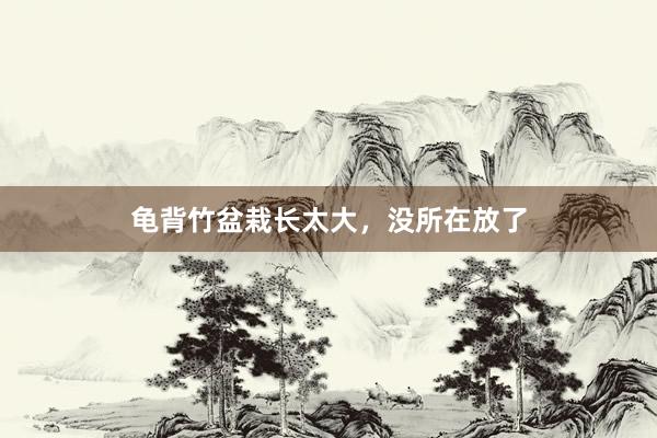 龟背竹盆栽长太大，没所在放了